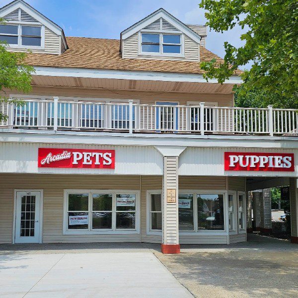 Arcadia Pets Freehold